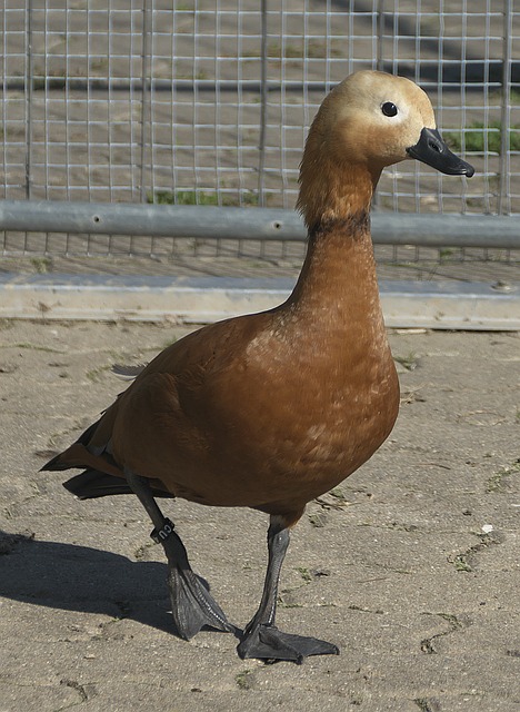 现不仅体现