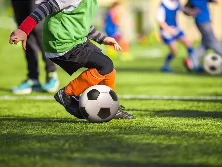 不仅是职业 不仅是职业