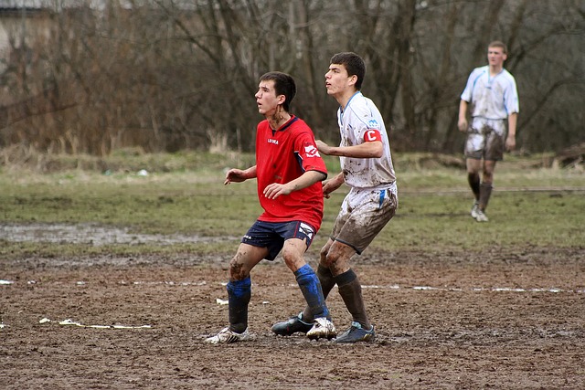 育与旅游的 育与旅游的