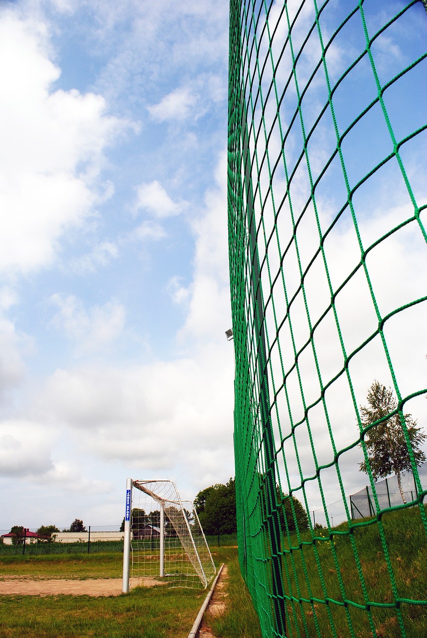 对于追逐季 对于追逐季