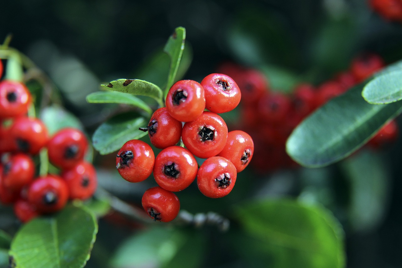 明自己的机 明自己的机