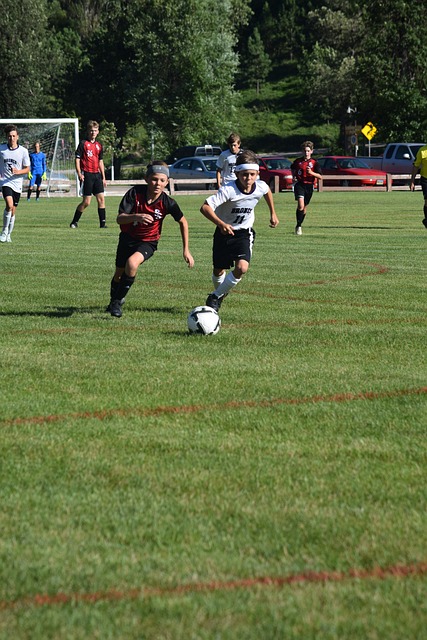 目的成绩 目的成绩